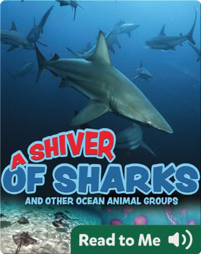A Shiver of Sharks