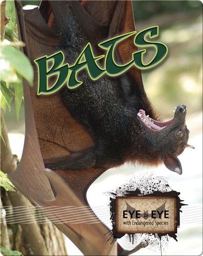 Bats
