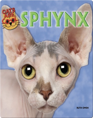Sphynx