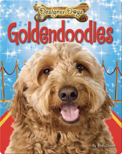 Goldendoodles