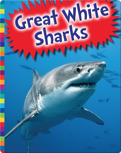 Great White Sharks