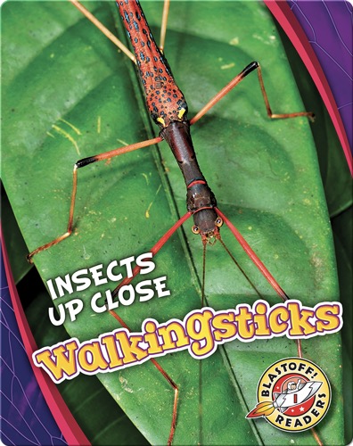 Walkingsticks