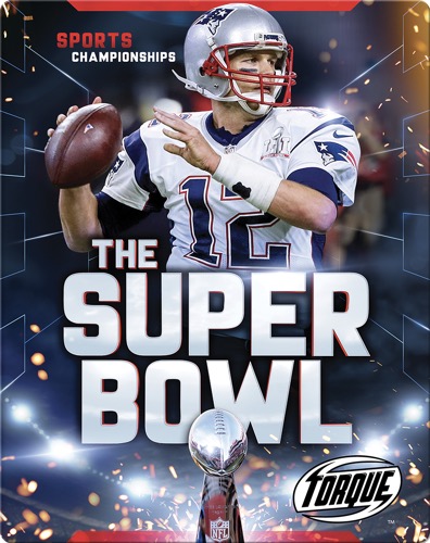 The Super Bowl