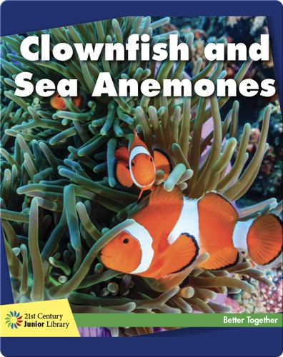 Clownfish and Sea Anemones