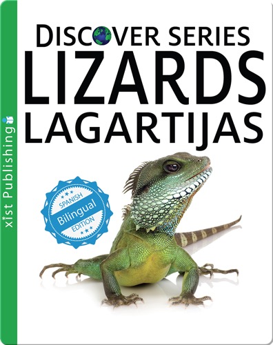 Lizards / Lagartijas