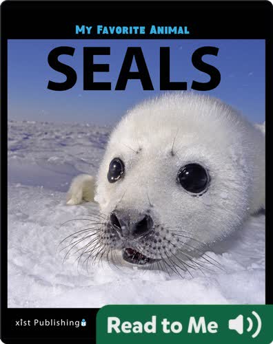 My Favorite Animal: Seals