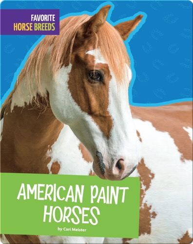 American Paint Horses
