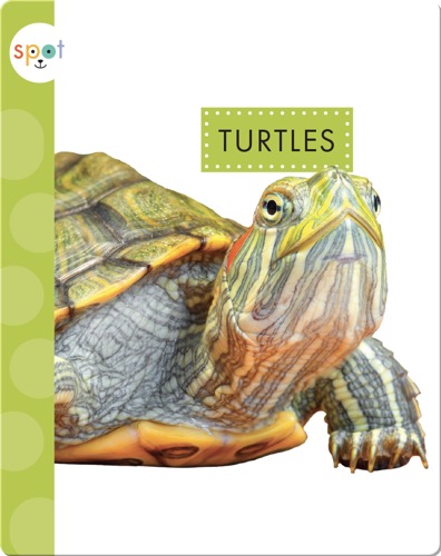 Turtles