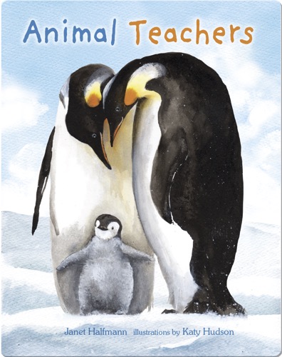 Animal Teachers