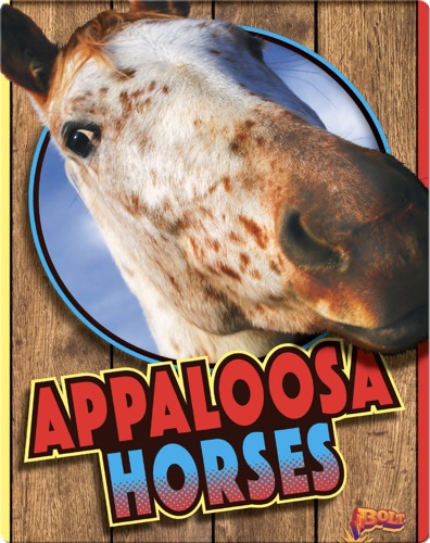 Appaloosa Horses