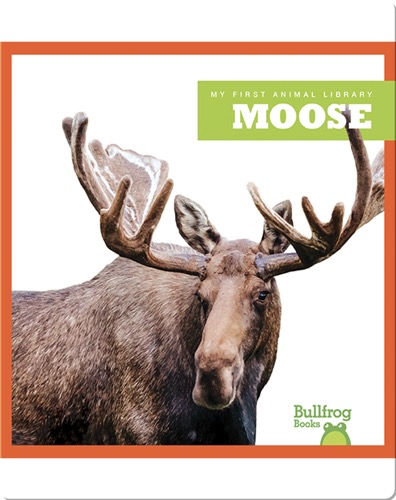 Moose