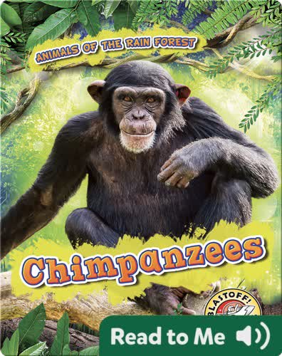 Chimpanzees