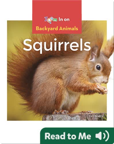 Squirrels