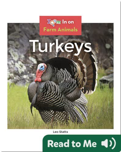 Turkeys