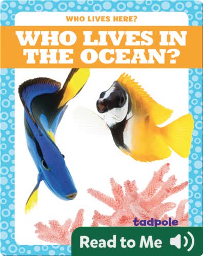 Who Lives in the Ocean?