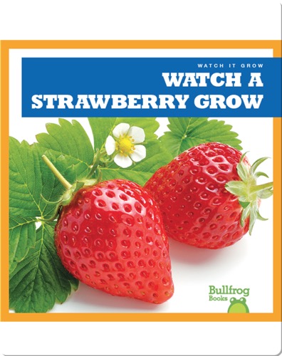 Watch a Strawberry Grow