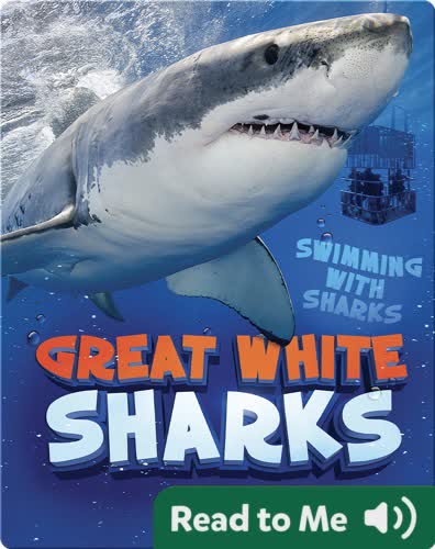 Great White Sharks
