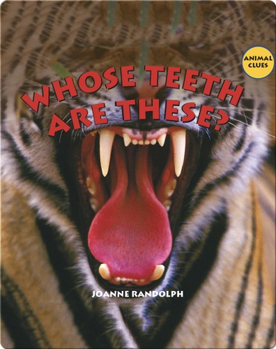 Whose Teeth Are These?
