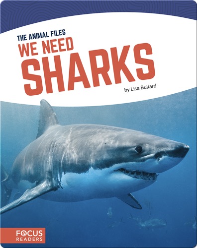 We Need Sharks