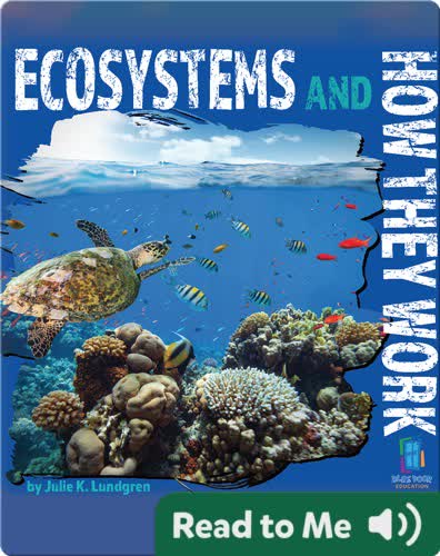 Ecosystems and How They Work