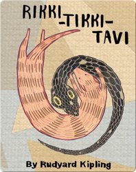 Rikki-Tikki-Tavi