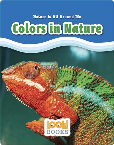 Colors in Nature