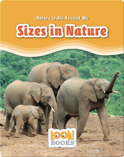 Sizes in Nature