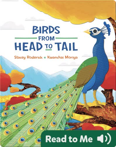 Birds from Head to Tail