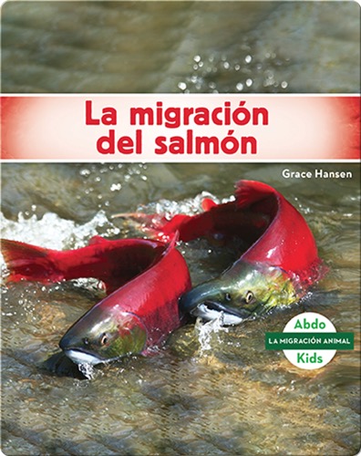 La migración del salmón