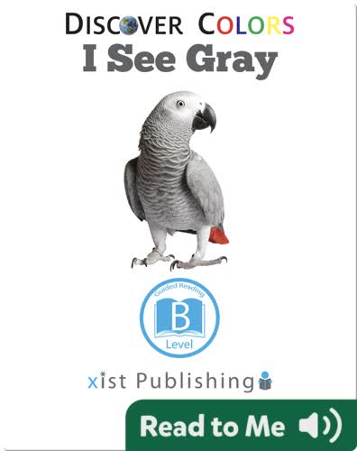 Discover Colors: I See Gray