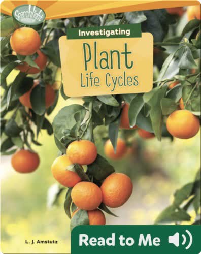 Investigating Plant Life Cycles
