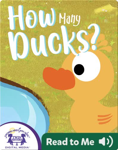 How Many Ducks?