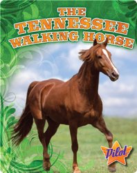 The Tennessee Walking Horse