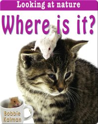 Where is it?