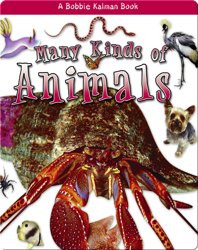 Many Kinds of Animals