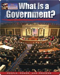 What is a Government?