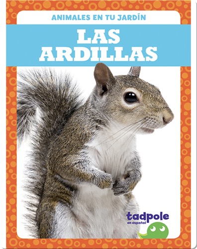 Las ardillas