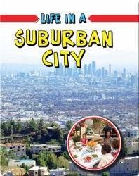 Life in a Suburban City