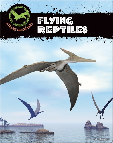 Flying Reptiles