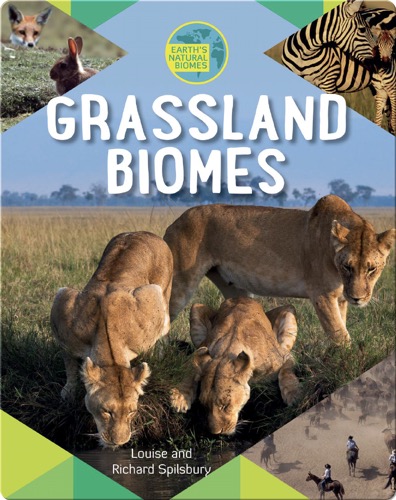 Grassland Biomes