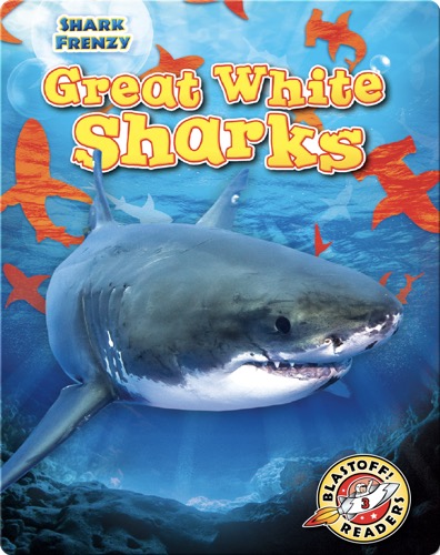 Shark Frenzy: Great White Sharks