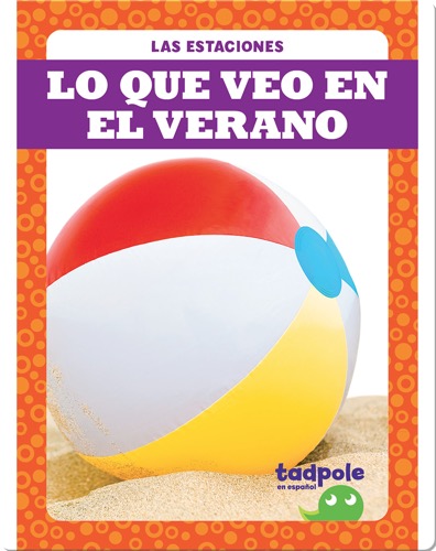 Lo que veo en el verano (What I See in Summer)