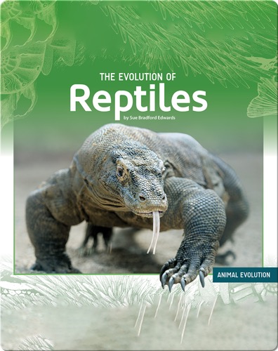 The Evolution of Reptiles