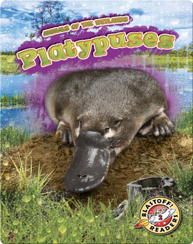 Animals of the Wetlands: Platypuses