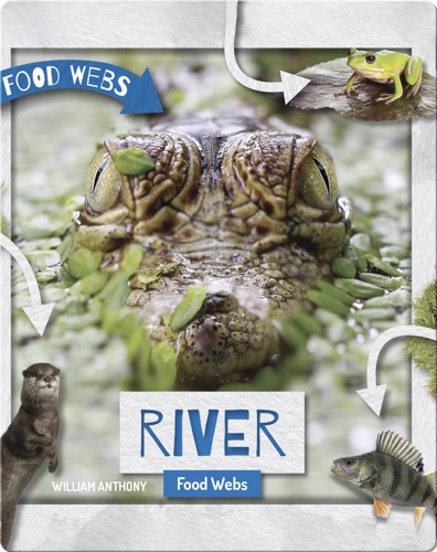 River Food Webs