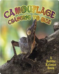 Camouflage: Changing to Hide