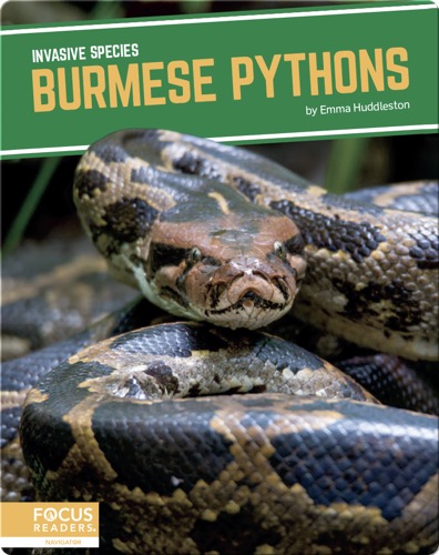 Invasive Species: Burmese Pythons