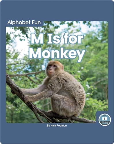 Alphabet Fun: M is for Monkey