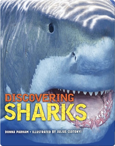 Discovering Sharks