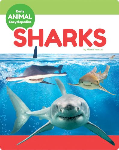 Early Animal Encyclopedias: Sharks
